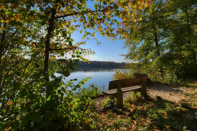 上的鍛煉 上的鍛煉