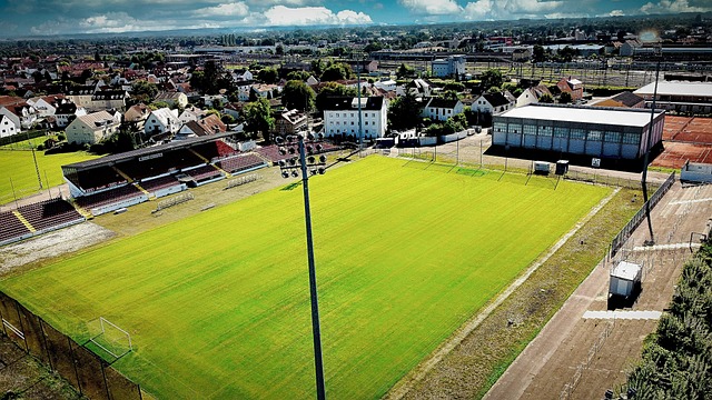 让对手有机 让对手有机