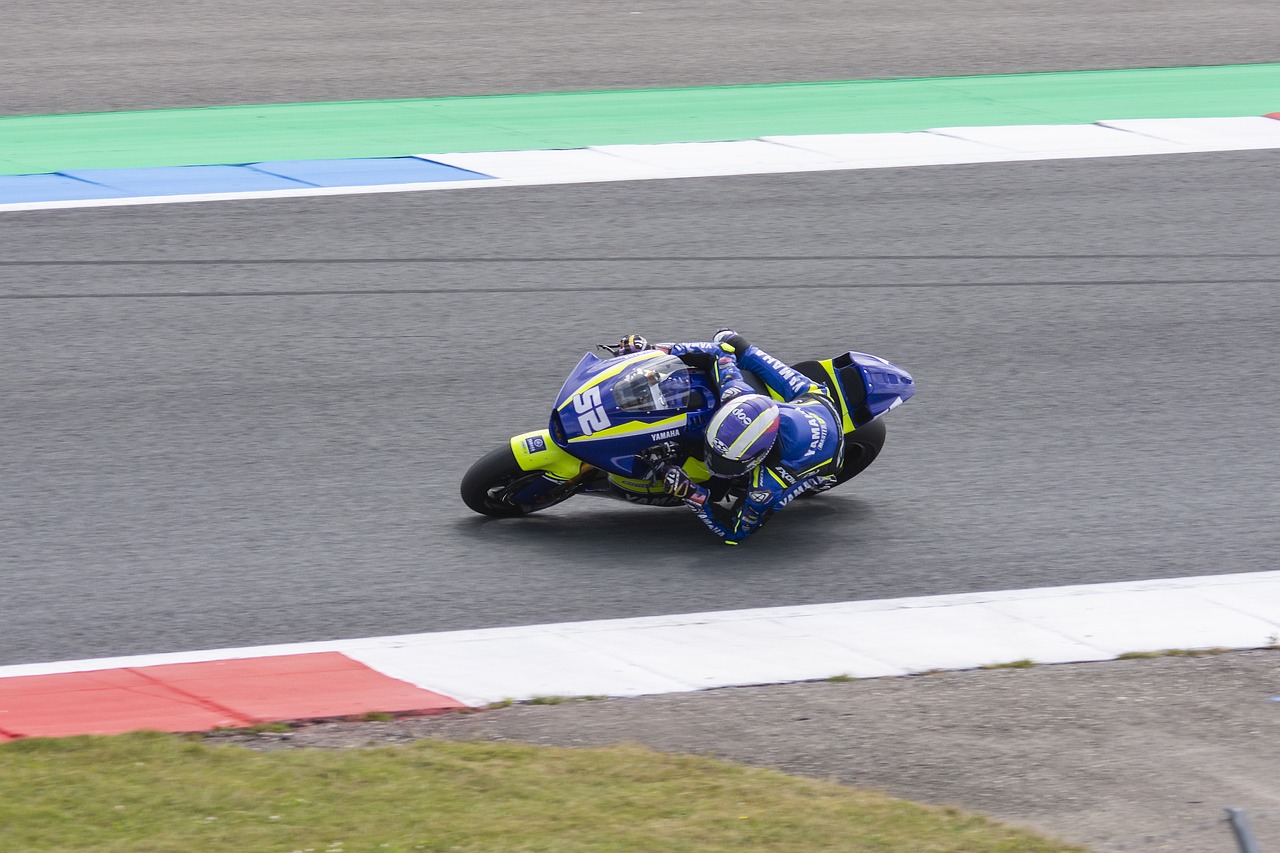 他在猛龙的 他在猛龙的