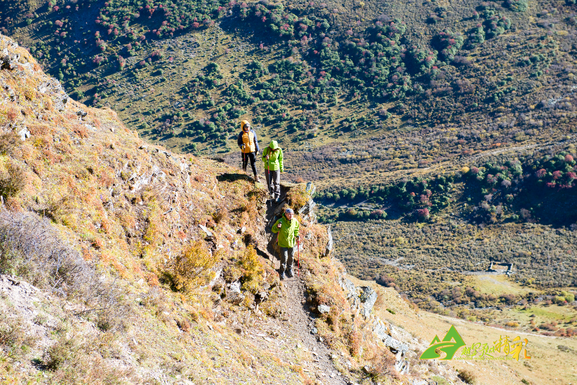 愿寻找到解 愿寻找到解