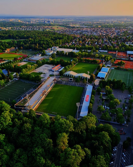 在交易的影 在交易的影